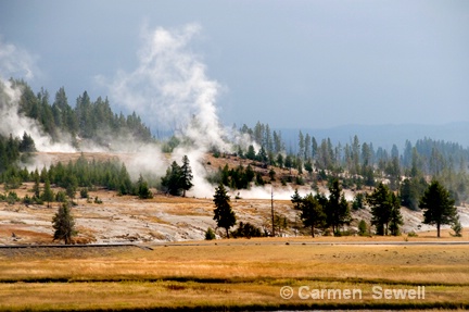 Geyser Basin
