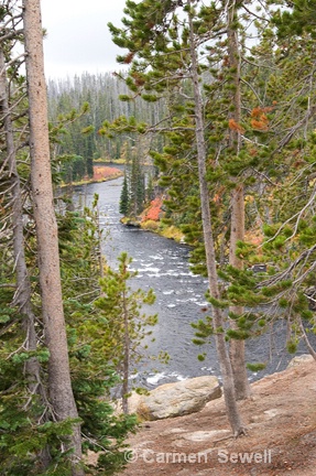 Lewis River