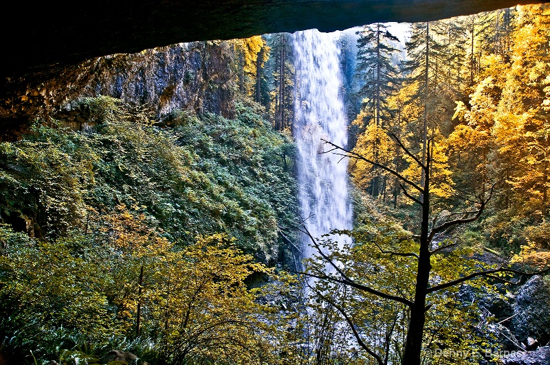 North Falls, Silver Falls State Park-OR