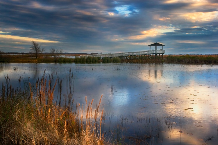 Marsh Sunrise