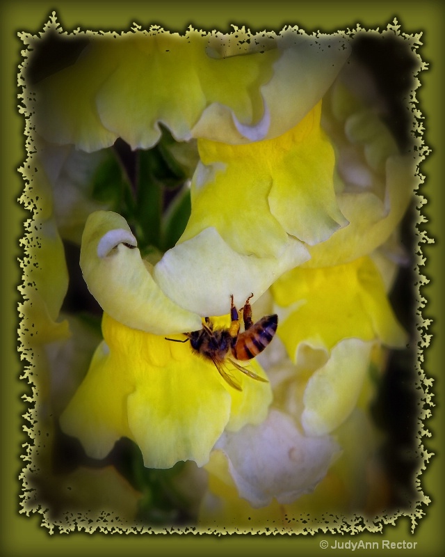 Spring is Busy,  Busy, BUSY!