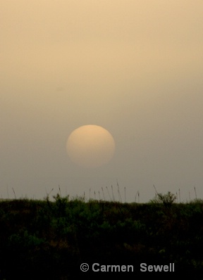 Evening Sun