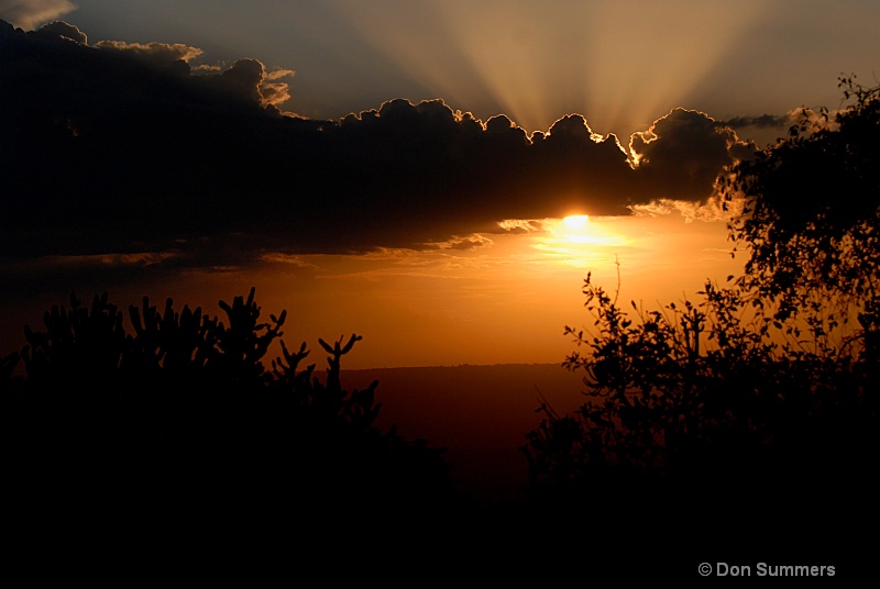 Akagera, Rwanda 2008