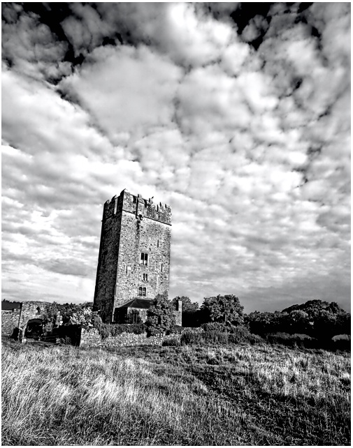 Ballyhannon Castle, Quin Ireland