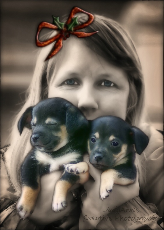 A Pair O'  Pups for Christmas! 