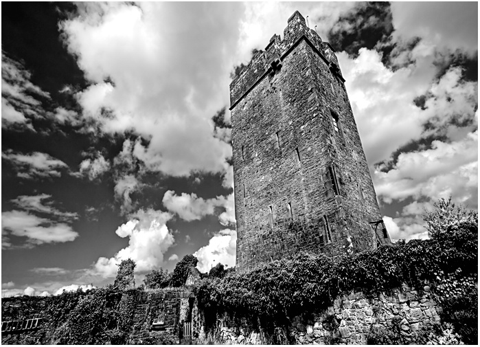 Ballyhannon Castle, Quin Ireland