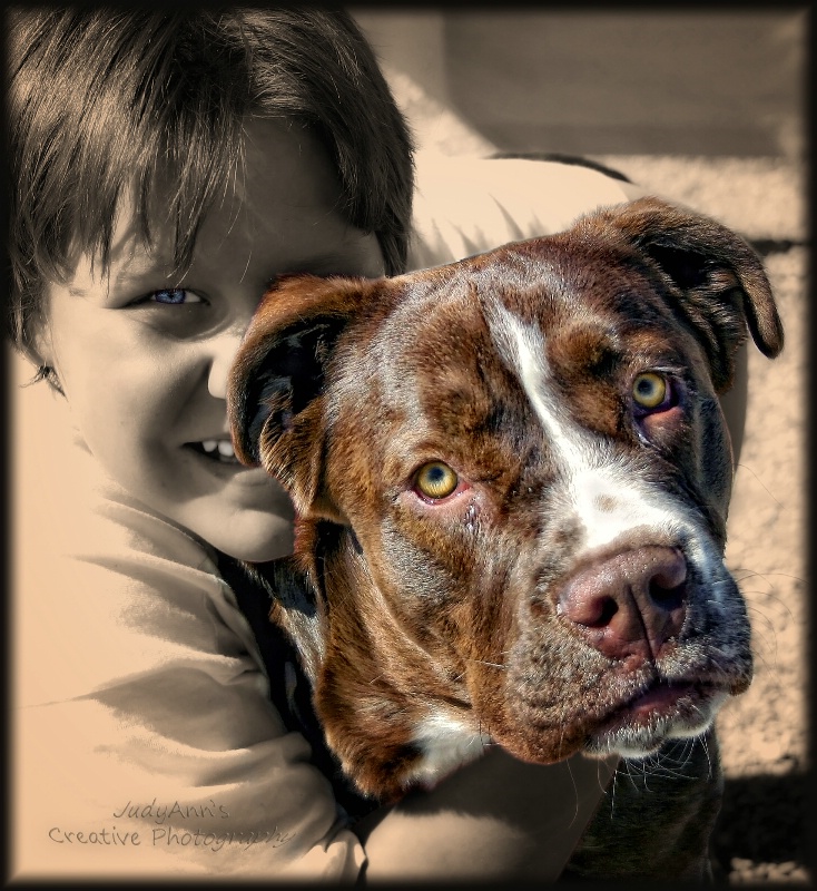 My Buddy 