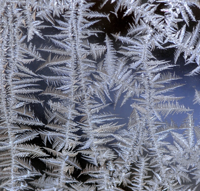 Morning Ice Crystals on my Window