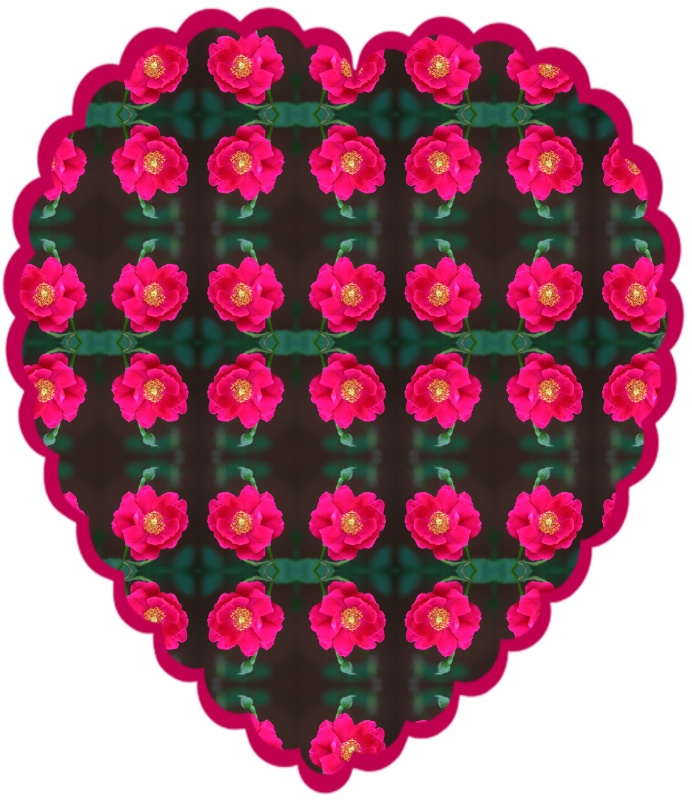 23