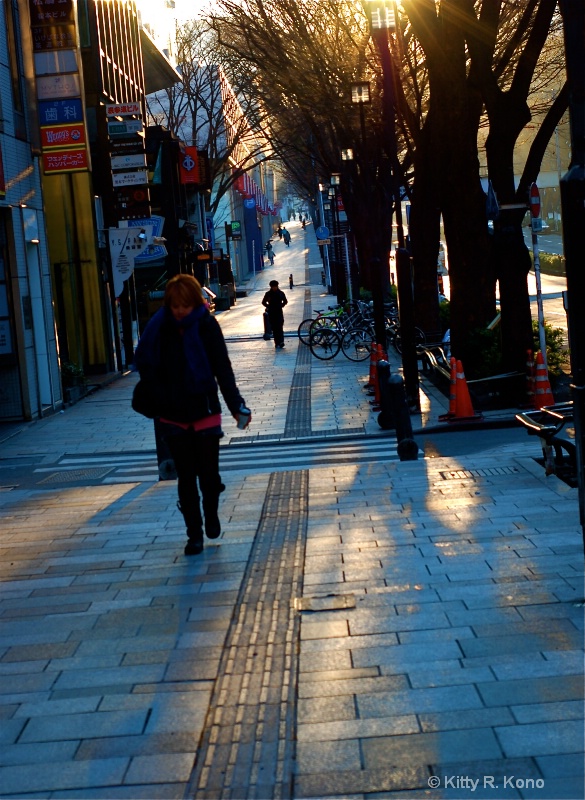 Omoto Sando on a Cold Morning