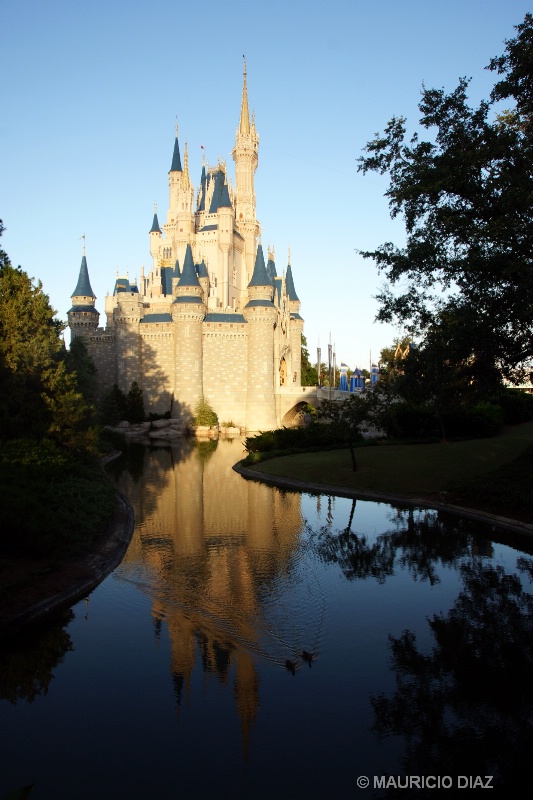 Cinderella's Castle