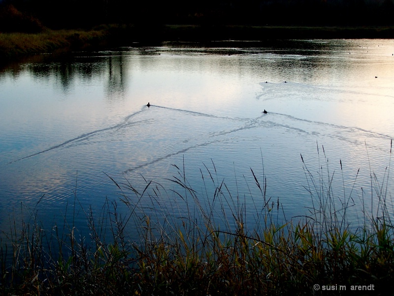 Symmetry in Nature