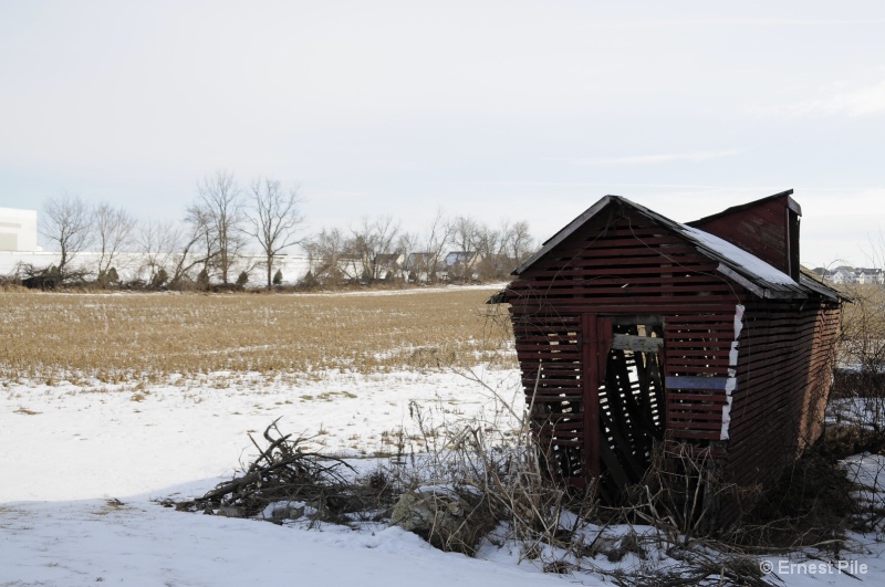 Old Shed in Winter