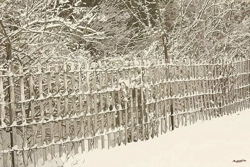 Snow with Sepia