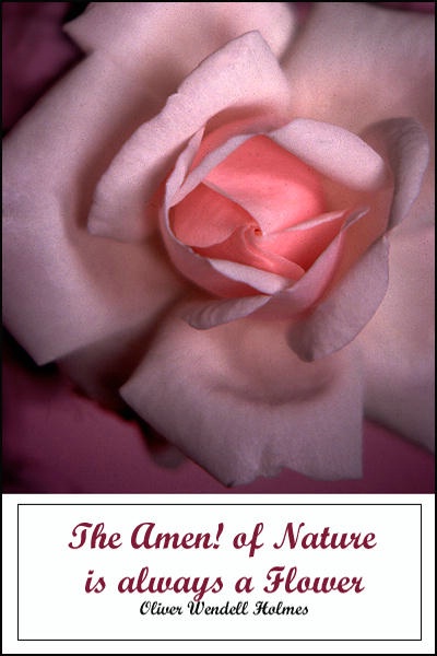 Amen of Nature card