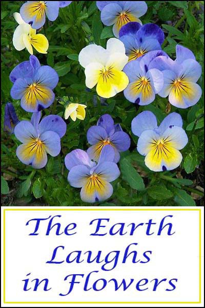 Earth Laughs card