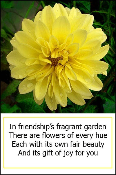 Friendships Garden card