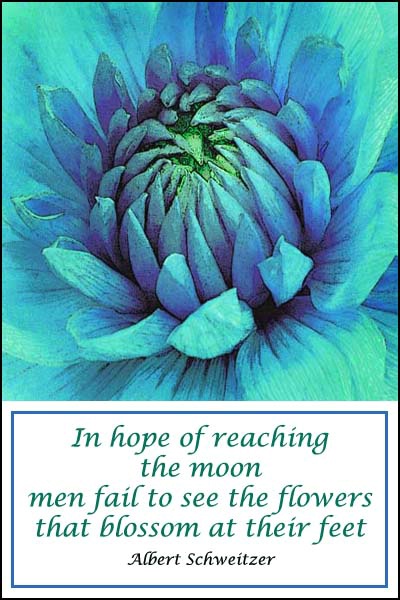 Reach the Moon card