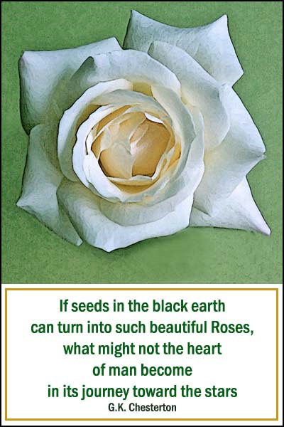 Seeds to Roses card