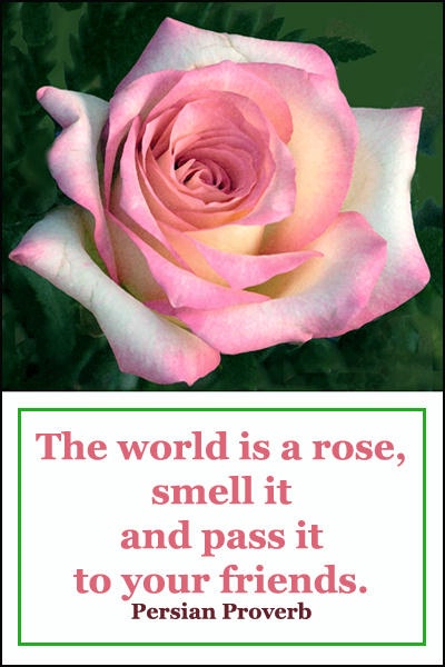 World is a Rose card