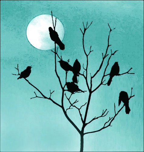 moon birds