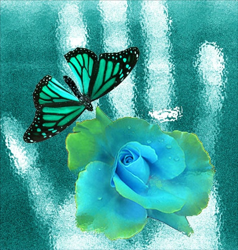 Butterfly Dreams 
