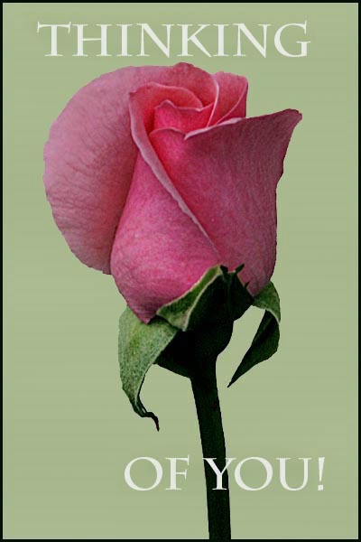  Thinking Of You  card