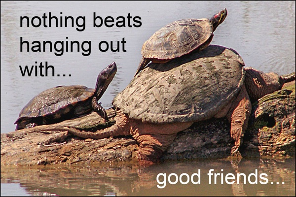 Good Friends card