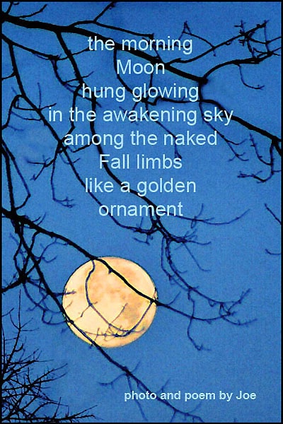 Morning Moon card