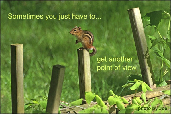 Point Of View card
