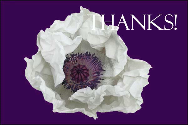 Thanks card