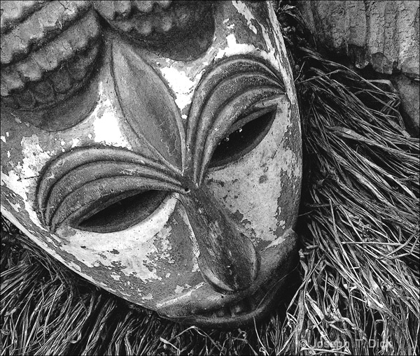 Mask 2 bw