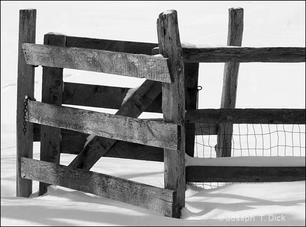 Open Gate bw