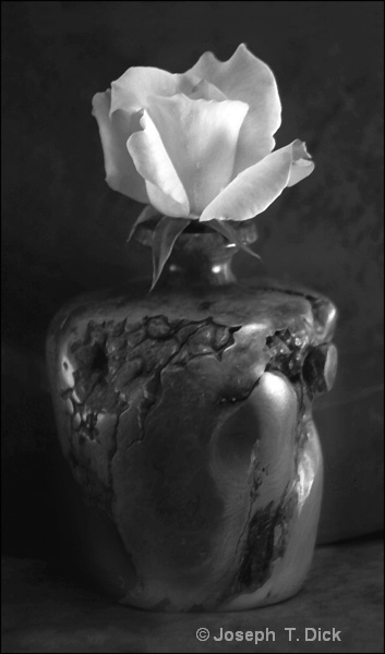 Rose in Wood Vase bw
