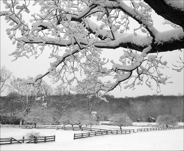 Snowy Fields bw