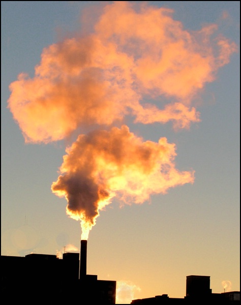 orange steam