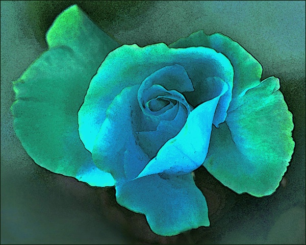 Aqua Rose Wtr Color