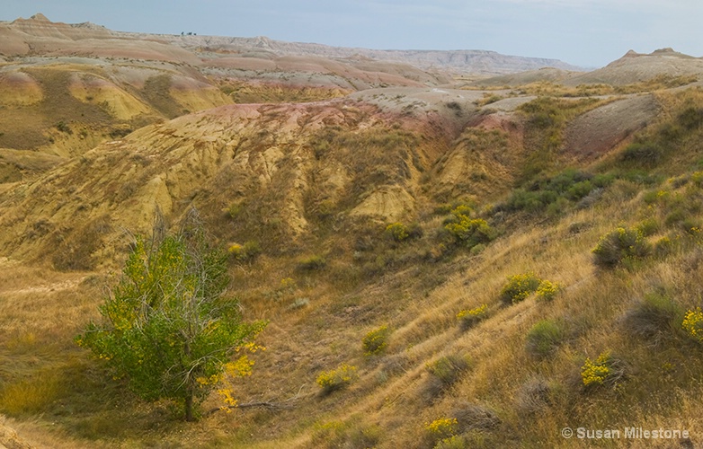 Badlands, SD 0765