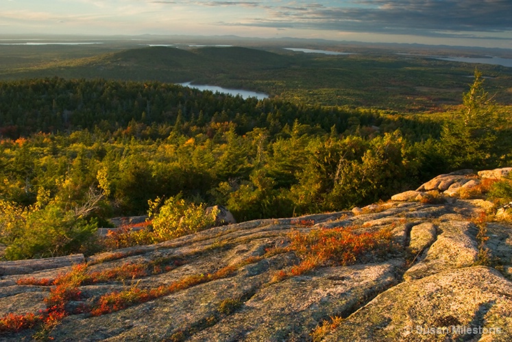 Cadillac Mtn Acadia NP 2461a