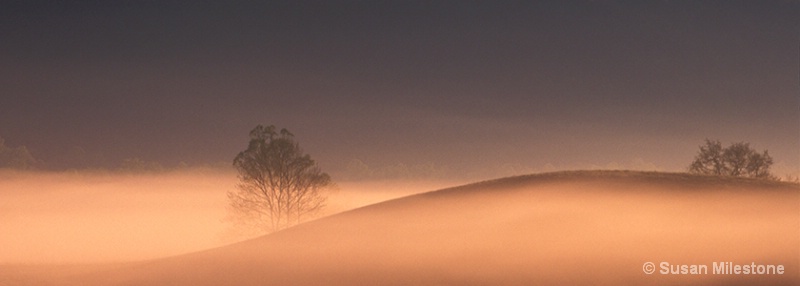 Cades Cove Mist