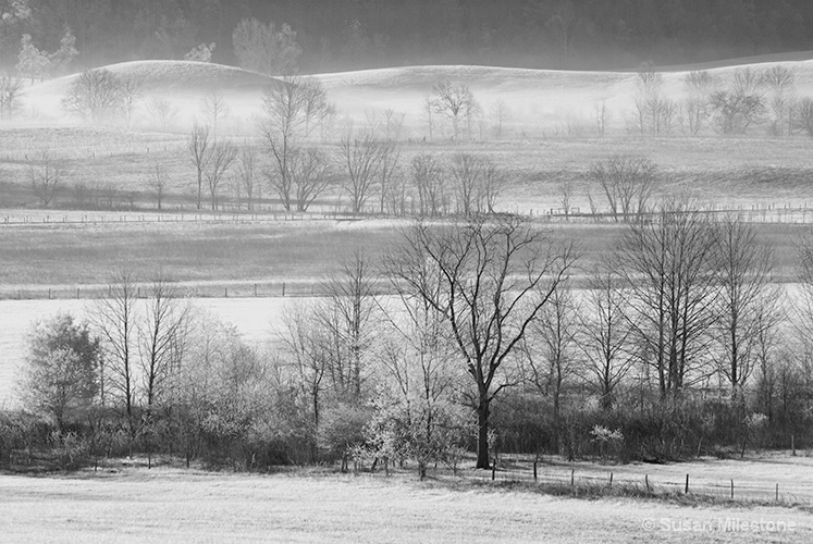 Cades Cove Infra Red 5970