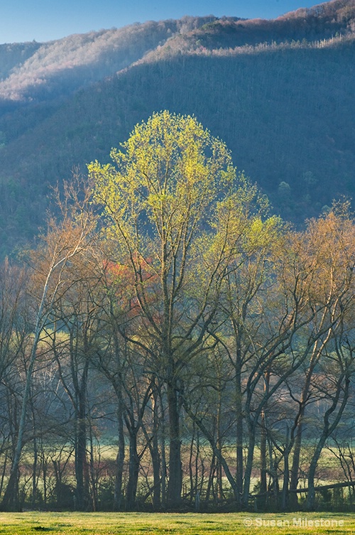 Cades Cove 1716