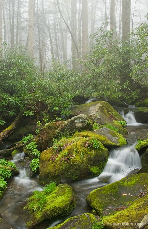 Roaring Fork Misty Stream 1970