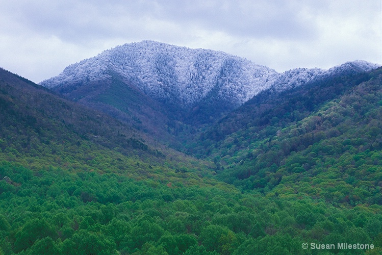 Mt Le Conte Spring Snow