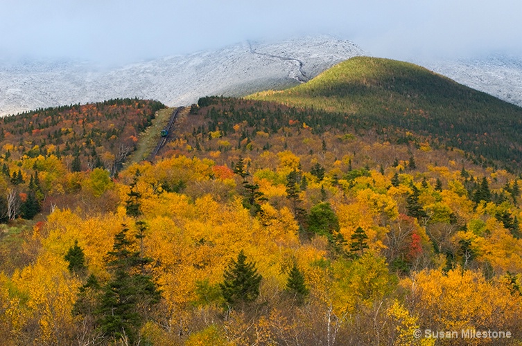 Washington Mtn White Mtns 6310