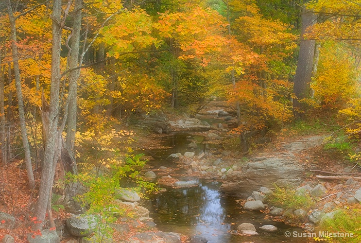 Whtie Mtns Fall Stream3406