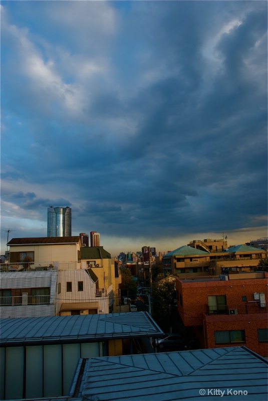 Cloudy Skies Over Tokyo - From Our Roof Top