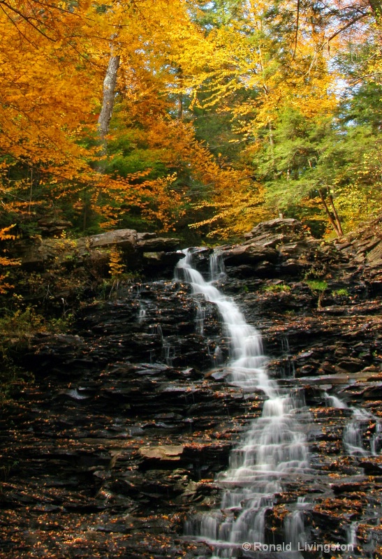 Golden Waterfall