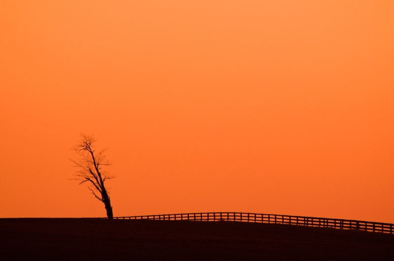 Highway Sunset Tree