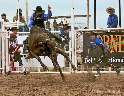 Cooper Kanngiesser, Winner 2008 GPM Bull Ride